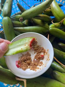 From Wild Fruit to Summer Delicacy: The Rise of a Once-Forgotten Foraged Snack - image 0