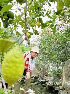 Inside the Stunning 20,000 sqm Garden Estate of Artist Minh Hang - image 7