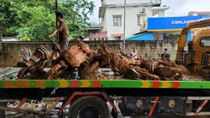 Severe Landslides Hit Northern Mountainous Provinces Following Intense Rainfall - image 3