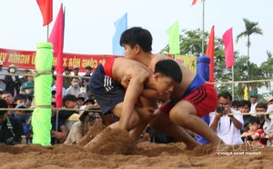 Sinh Village Traditional Wrestling Festival: A Vibrant Spring Celebration in Hue - image 4