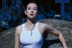 The Timeless Elegance and Global Impact of Beauty Icon Zhang Ziyi - image 3