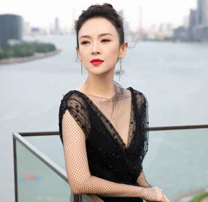 The Timeless Elegance and Global Impact of Beauty Icon Zhang Ziyi - image 4