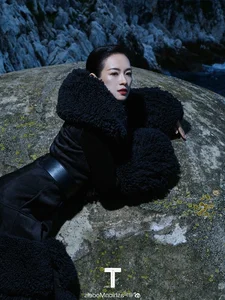 The Timeless Elegance and Global Impact of Beauty Icon Zhang Ziyi - image 5
