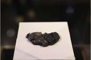 Bakery Revives 5,000-Year-Old Ancient Egyptian Bread Recipe to Instant Success - image 6