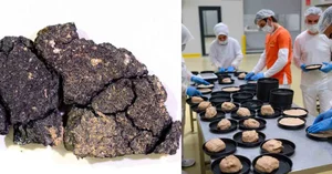 Bakery Revives 5,000-Year-Old Ancient Egyptian Bread Recipe to Instant Success - image 1