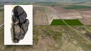 Bakery Revives 5,000-Year-Old Ancient Egyptian Bread Recipe to Instant Success - image 0