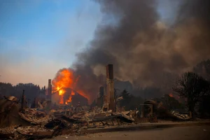 Devastating Aftermath: Los Angeles Transforms into a 'War Zone' Following Wildfires - image 11