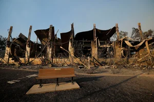 Devastating Aftermath: Los Angeles Transforms into a 'War Zone' Following Wildfires - image 12
