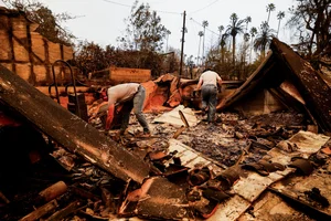 Devastating Aftermath: Los Angeles Transforms into a 'War Zone' Following Wildfires - image 14