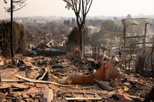 Devastating Aftermath: Los Angeles Transforms into a 'War Zone' Following Wildfires - image 3