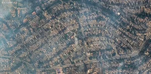 Devastating Aftermath: Los Angeles Transforms into a 'War Zone' Following Wildfires - image 7