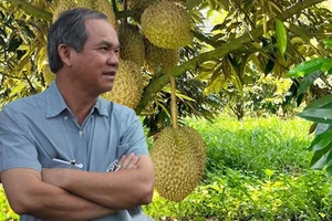 Tycoon Bau Duc’s Bold and Inspiring Statements on the Durian Gold Rush - image 5