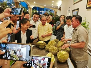 Tycoon Bau Duc’s Bold and Inspiring Statements on the Durian Gold Rush - image 6