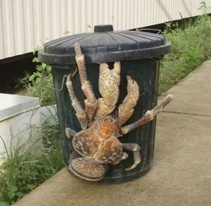 Bizarre Creatures of the Deep and Wild Beyond Human Imagination - image 20