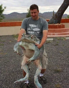 Bizarre Creatures of the Deep and Wild Beyond Human Imagination - image 9
