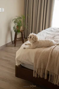 An Yen Apartment: Achieving Minimalist Luxury and Open Living on a 350 Million VND Budget - image 41