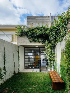 Modern Vertical Garden Ideas: Transforming Your Home with Stunning Indoor Greenery - image 13