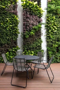 Modern Vertical Garden Ideas: Transforming Your Home with Stunning Indoor Greenery - image 4