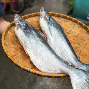 Mekong Delta Brackish Water Delicacies: The Rising Value of Premium Dried Fish - image 5