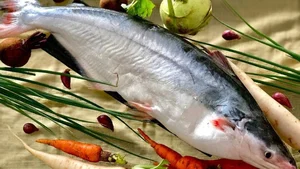 Mekong Delta Brackish Water Delicacies: The Rising Value of Premium Dried Fish - image 0