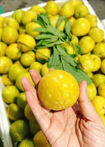 Why Consumers Are Rushing to Buy $18/kg Chinese Plums - image 5