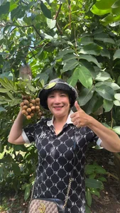 Vietnamese Celebrity News: Hoai Linh's Brother Robbed in Europe and Dong Anh Quynh's New Romance - image 19