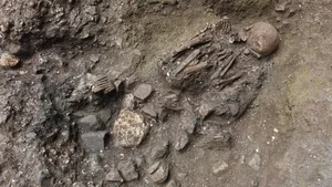 7,100-Year-Old Ancient Skeleton Discovers Unknown Human Ghost Lineage - image 3