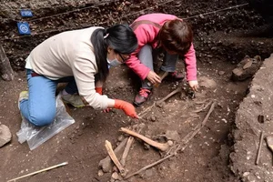 7,100-Year-Old Ancient Skeleton Discovers Unknown Human Ghost Lineage - image 4