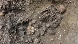 7,100-Year-Old Ancient Skeleton Discovers Unknown Human Ghost Lineage - image 1