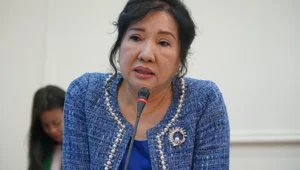 The Fall of Tycoon Nhu Loan: Legal Loopholes and the Shocking Secret of the Diplomatic Cash Briefcase - image 4