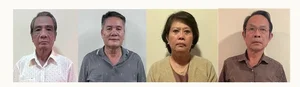 The Fall of Tycoon Nhu Loan: Legal Loopholes and the Shocking Secret of the Diplomatic Cash Briefcase - image 3