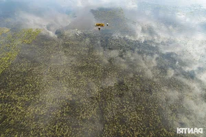 Hanoi Outskirt Rice Fields Submerged: Farmers Face Devastating Crop Loss Risks - image 12