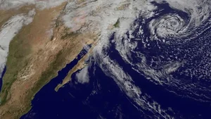 The Mystery of the White Shark Cafe in the Pacific Ocean - image 5