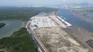 Scenic Mangrove Forest Road Connecting Dong Nai to Phuoc An Port - image 1