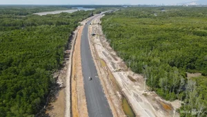 Scenic Mangrove Forest Road Connecting Dong Nai to Phuoc An Port - image 5