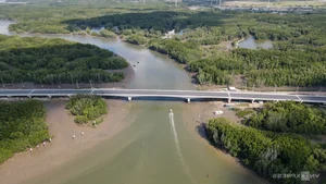 Scenic Mangrove Forest Road Connecting Dong Nai to Phuoc An Port - image 7