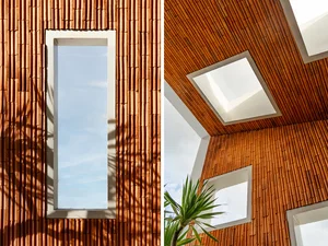 Maximizing Natural Light: The Architectural Genius of Modern Tube Houses - image 5
