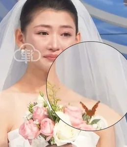A Miraculous Wedding Moment: The Symbolic Butterfly and a Promise Kept from Beyond - image 8