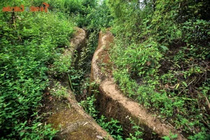 10 Mind-Blowing Facts About the Battle of Dien Bien Phu - image 9