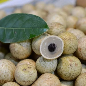 Top 3 Rare and Expensive Longan Varieties That Are Always Sold Out - image 9