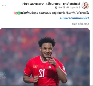 The Powerful Female Billionaire Eyeing Football Star Nguyen Xuan Son - image 2