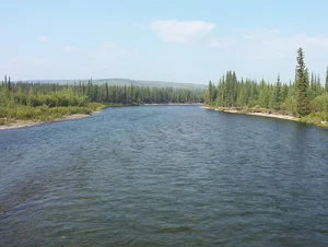 The Legendary River Where Gold Deposits Replenish Naturally Over Time - image 5