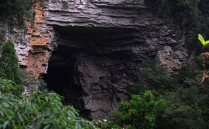 The Legend of the Wildman: Exploring Mythical Forest Giants - image 4