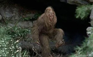 The Legend of the Wildman: Exploring Mythical Forest Giants - image 11