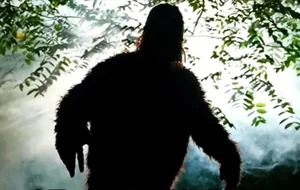 The Legend of the Wildman: Exploring Mythical Forest Giants - image 9