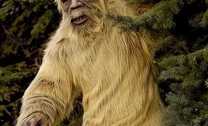 The Legend of the Wildman: Exploring Mythical Forest Giants - image 0
