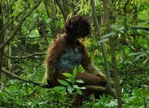 The Legend of the Wildman: Exploring Mythical Forest Giants - image 2