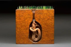The Science of Survival: Exploring the Fascinating Phenomenon of Animal Hibernation - image 10