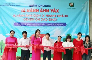 Long An Inaugurates 10 Houses of Compassion for Disadvantaged Families - image 3