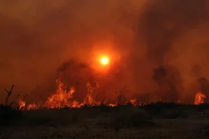 Europe Faces Devastating Wildfires Amidst Extreme Climate Challenges and Record Temperatures - image 10